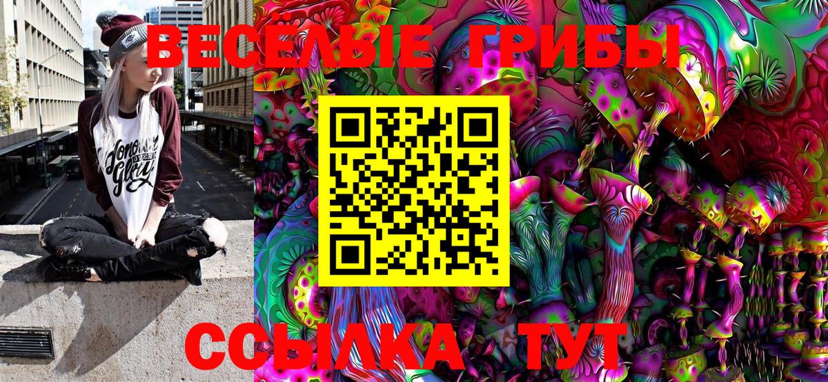 Самара  Галлюциногенные грибы MAGIC MUSHROOMS  Псилоцибиновые грибы прущие грибы  Вход с VPN 
