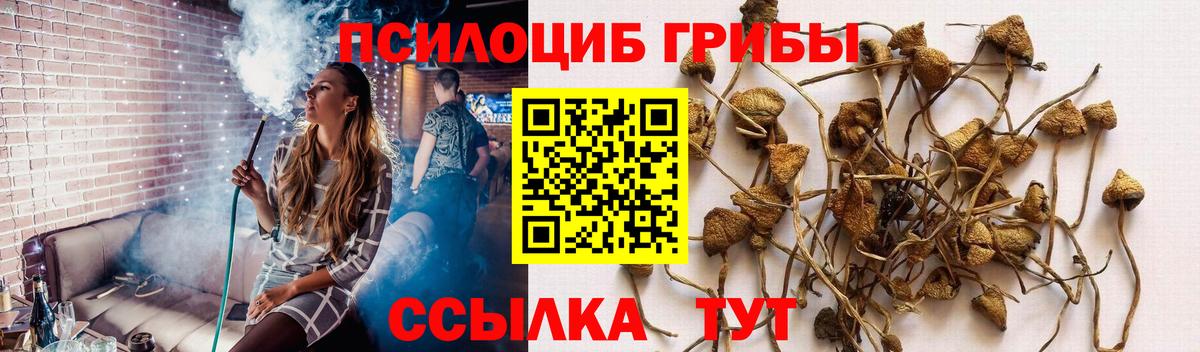 Галлюциногенные грибы Magic Shrooms Самара
